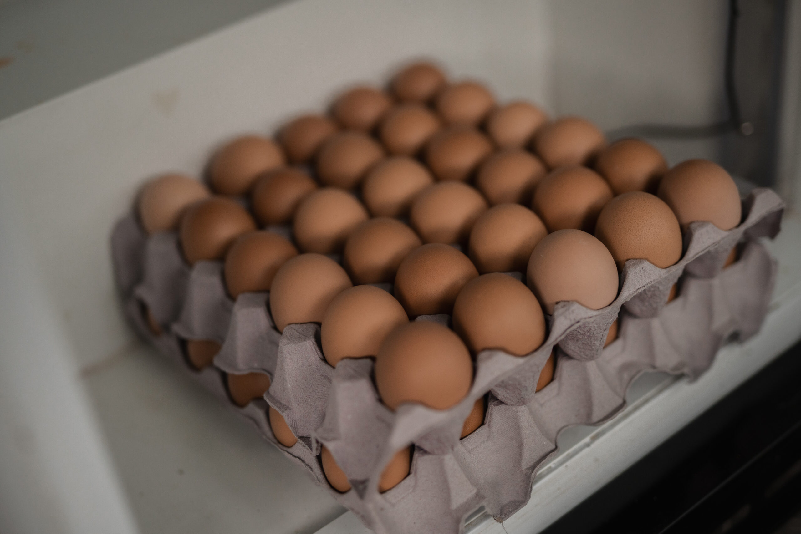 Frische Eier – Bild 6